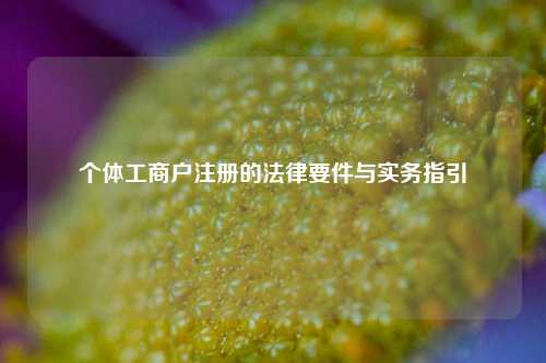 个体工商户注册的法律要件与实务指引