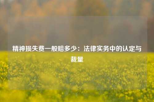 精神损失费一般赔多少：法律实务中的认定与裁量