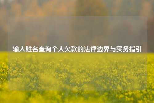 输入姓名查询个人欠款的法律边界与实务指引