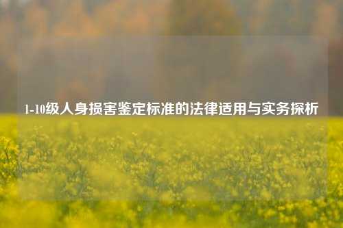 1-10级人身损害鉴定标准的法律适用与实务探析