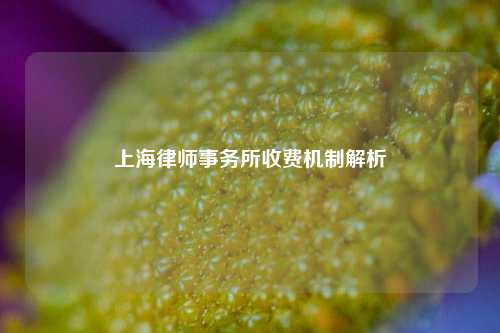 上海律师事务所收费机制解析
