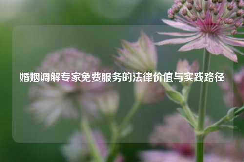 婚姻调解专家免费服务的法律价值与实践路径