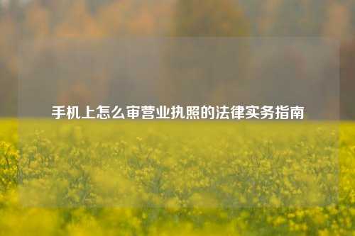 手机上怎么审营业执照的法律实务指南